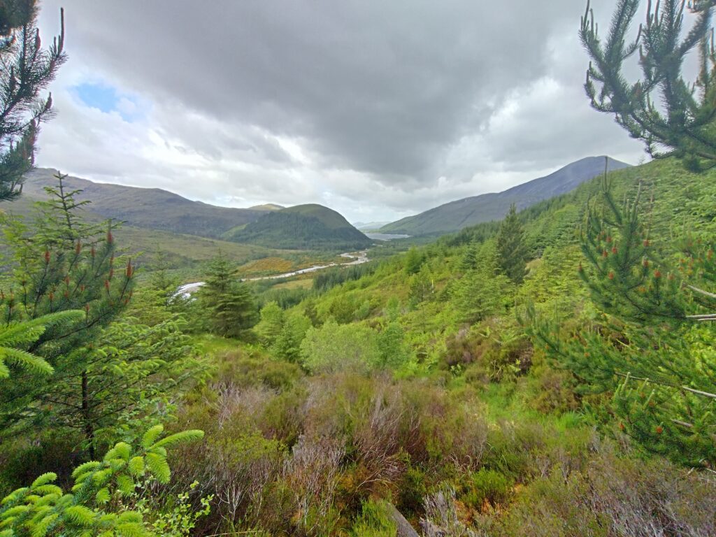 Uird A Scottish Story - Day 31, I really should have just taken the road ...